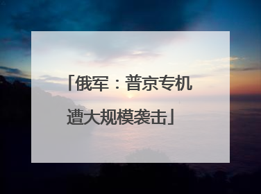 俄军：普京专机遭大规模袭击