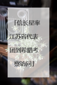 信长星率江苏省代表团到希腊考察访问