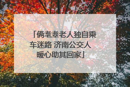 俩耄耋老人独自乘车迷路 济南公交人暖心助其回家