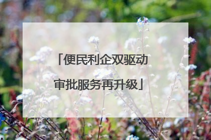 便民利企双驱动 审批服务再升级