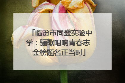 临汾市同盛实验中学：骊歌唱响青春志 金榜题名正当时