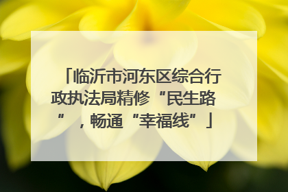 临沂市河东区综合行政执法局精修“民生路”，畅通“幸福线”