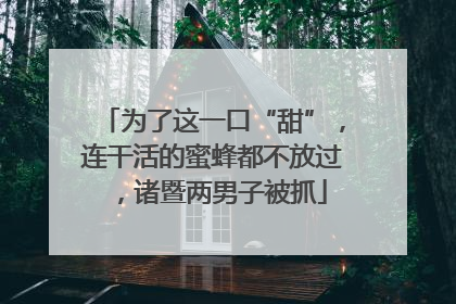 为了这一口“甜”，连干活的蜜蜂都不放过，诸暨两男子被抓