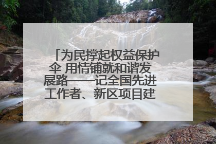 为民撑起权益保护伞 用情铺就和谐发展路——记全国先进工作者、新区项目建设中心干部卢小勇