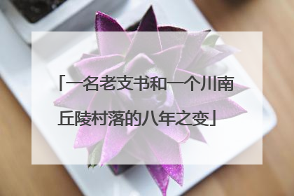 一名老支书和一个川南丘陵村落的八年之变