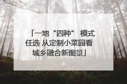 一地“四种” 模式任选 从定制小菜园看城乡融合新图景