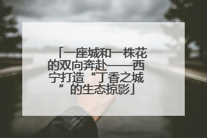 一座城和一株花的双向奔赴——西宁打造“丁香之城”的生态掠影