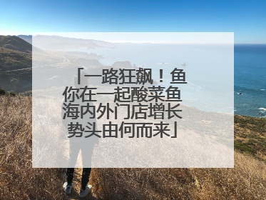 一路狂飙！鱼你在一起酸菜鱼海内外门店增长势头由何而来