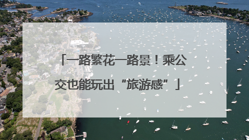 一路繁花一路景！乘公交也能玩出“旅游感”