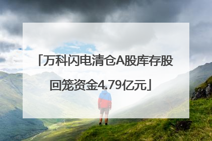 万科闪电清仓A股库存股 回笼资金4.79亿元