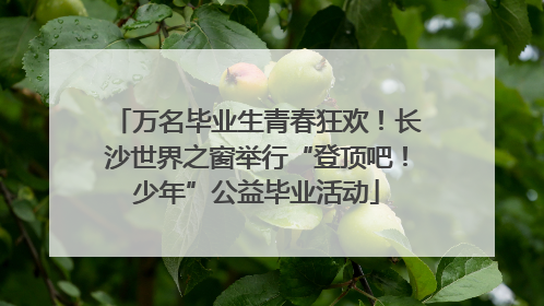 万名毕业生青春狂欢！长沙世界之窗举行“登顶吧！少年”公益毕业活动