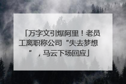 万字文引爆阿里！老员工离职称公司“失去梦想”，马云下场回应