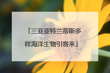 三亚亚特兰蒂斯多样海洋生物引客来