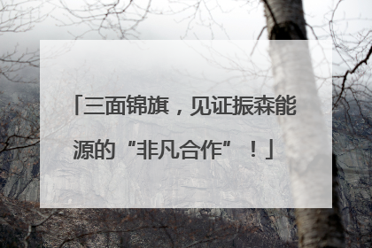 三面锦旗，见证振森能源的“非凡合作”！