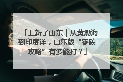 上新了山东｜从黄渤海到印度洋，山东版“零碳攻略”有多能打？