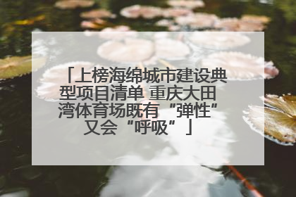 上榜海绵城市建设典型项目清单 重庆大田湾体育场既有“弹性”又会“呼吸”