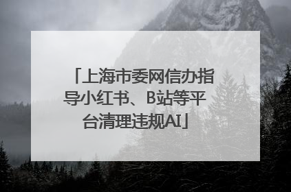 上海市委网信办指导小红书、B站等平台清理违规AI