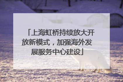 上海虹桥持续放大开放新模式，加强海外发展服务中心建设