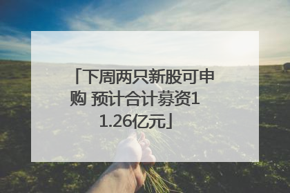 下周两只新股可申购 预计合计募资11.26亿元