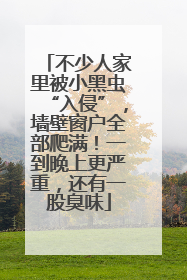 不少人家里被小黑虫“入侵”，墙壁窗户全部爬满！一到晚上更严重，还有一股臭味