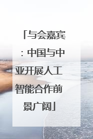 与会嘉宾：中国与中亚开展人工智能合作前景广阔