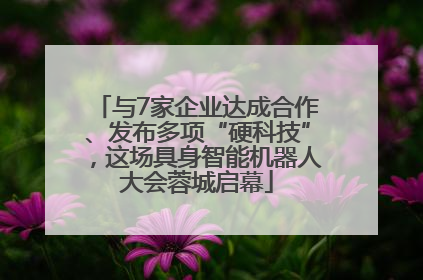 与7家企业达成合作、发布多项“硬科技”，这场具身智能机器人大会蓉城启幕