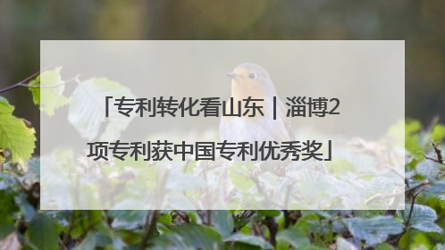 专利转化看山东｜淄博2项专利获中国专利优秀奖