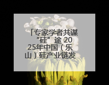 专家学者共谋“硅”途 2025年中国（乐山）硅产业链发展大会开幕