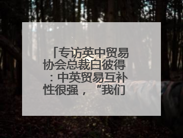 专访英中贸易协会总裁白彼得：中英贸易互补性很强，“我们没有歧视”