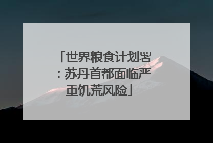 世界粮食计划署：苏丹首都面临严重饥荒风险