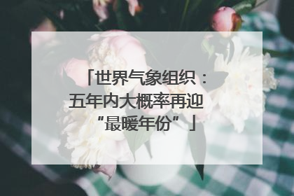 世界气象组织：五年内大概率再迎“最暖年份”