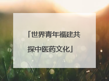 世界青年福建共探中医药文化
