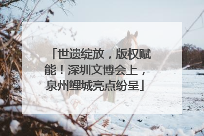 世遗绽放，版权赋能！深圳文博会上，泉州鲤城亮点纷呈