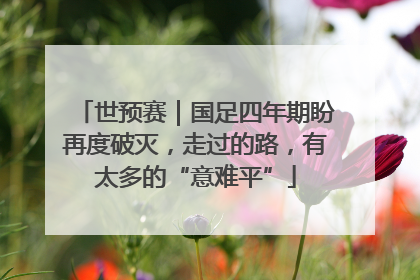 世预赛｜国足四年期盼再度破灭，走过的路，有太多的“意难平”