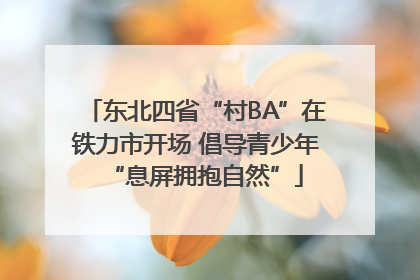 东北四省“村BA”在铁力市开场 倡导青少年“息屏拥抱自然”