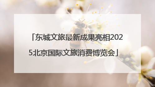 东城文旅最新成果亮相2025北京国际文旅消费博览会