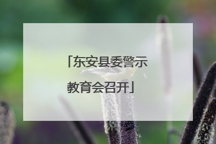 东安县委警示教育会召开