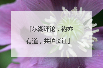 东湖评论：钓亦有道，共护长江