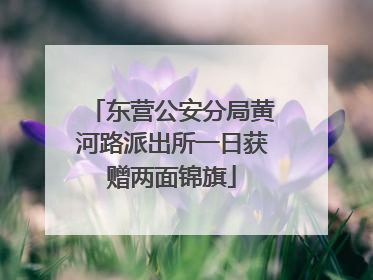 东营公安分局黄河路派出所一日获赠两面锦旗