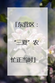 东营区：“三夏”农忙正当时