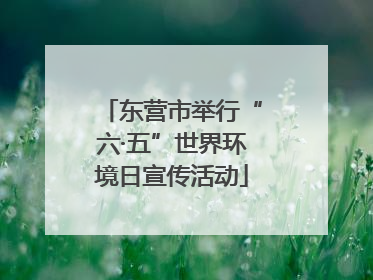 东营市举行“六·五”世界环境日宣传活动