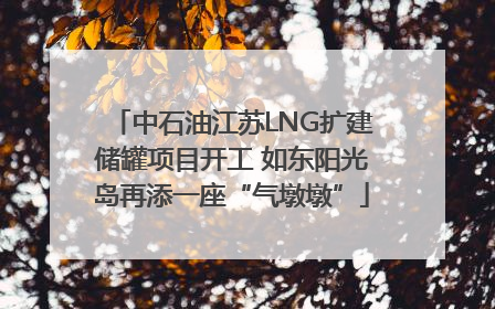 中石油江苏LNG扩建储罐项目开工 如东阳光岛再添一座“气墩墩”