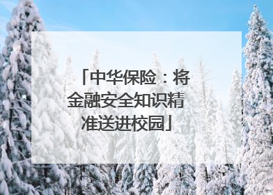 中华保险：将金融安全知识精准送进校园