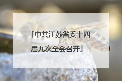 中共江苏省委十四届九次全会召开