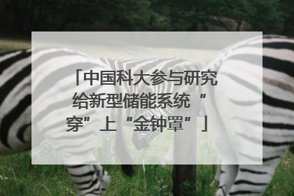 中国科大参与研究 给新型储能系统“穿”上“金钟罩”