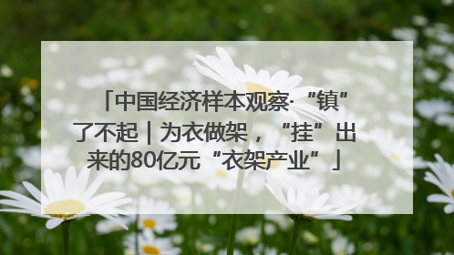 中国经济样本观察·“镇”了不起｜为衣做架，“挂”出来的80亿元“衣架产业”