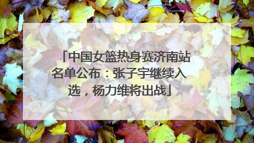 中国女篮热身赛济南站名单公布：张子宇继续入选，杨力维将出战