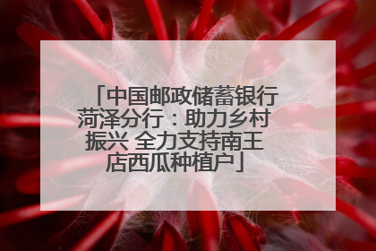 中国邮政储蓄银行菏泽分行：助力乡村振兴 全力支持南王店西瓜种植户