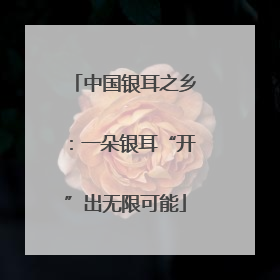 中国银耳之乡：一朵银耳“开”出无限可能