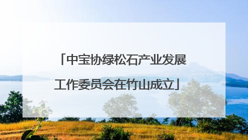 中宝协绿松石产业发展工作委员会在竹山成立